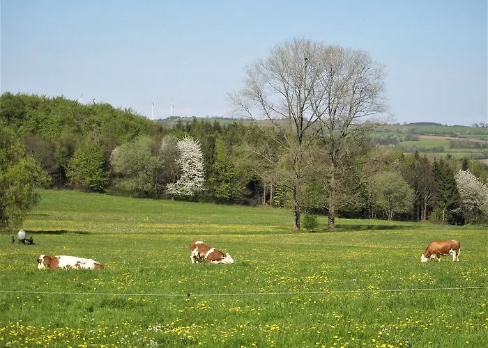 Caecilienhof * Birstein